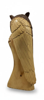 Natural Wonders USA carved wooden owl sculpture, 22" tall, with detailed feathers in natural wood and dark brown accents. Designed for wall mounting.