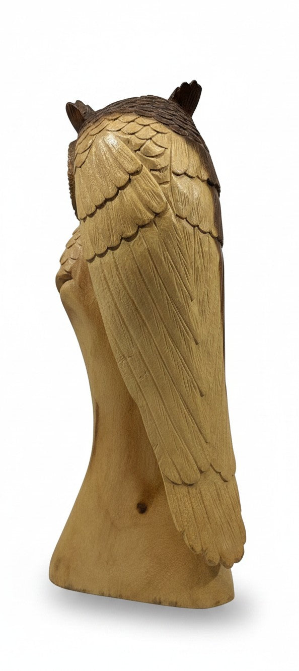 Natural Wonders USA carved wooden owl sculpture, 22" tall, with detailed feathers in natural wood and dark brown accents. Designed for wall mounting.