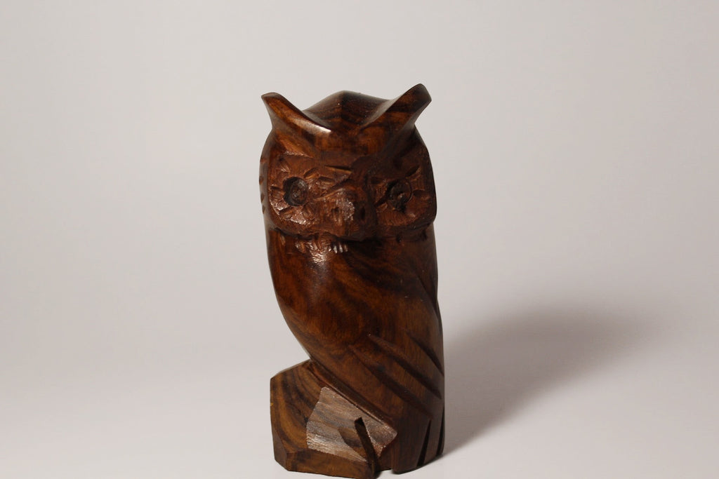 Natural Wonders USA hand-carved dark wood owl figurine with intricate feather details and alert eyes.