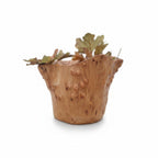 Natural Wonders USA rustic cedar wood bowl with natural imperfections and a food-safe finish, 8" tall.
