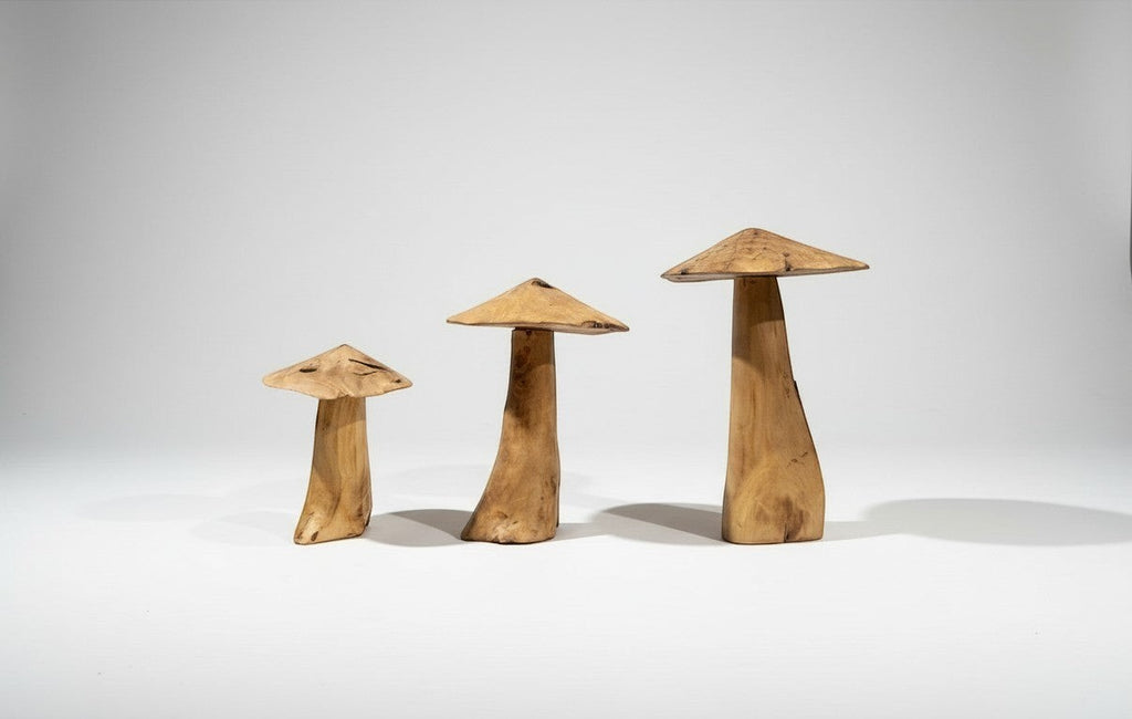 Natural Wonders USA handcrafted driftwood mushrooms with unique textures and organic shapes. Natural wood finish.