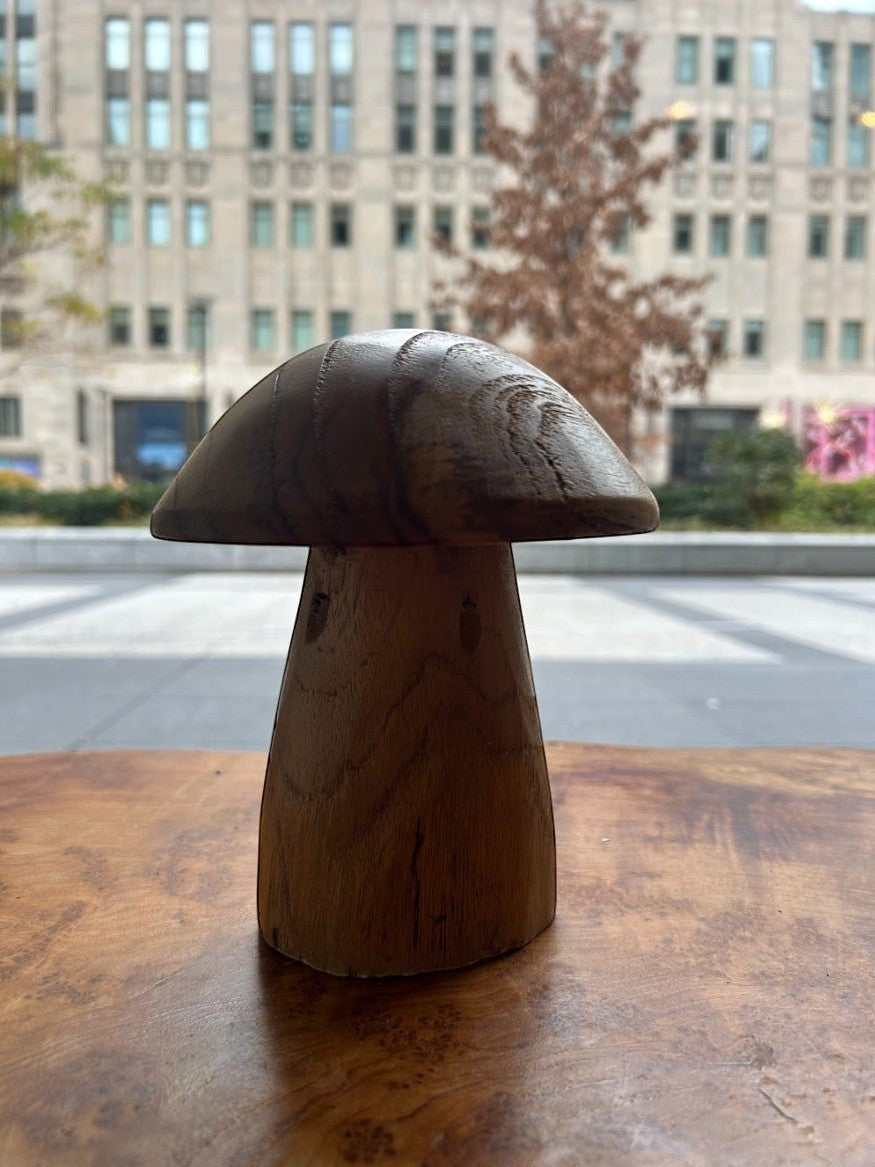 Natural Wonders USA mini wooden mushroom decor with natural grain texture and whimsical charm.