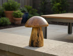 Natural Wonders USA mini wooden mushroom sculpture with natural grain and dark accents. Decorative accent.