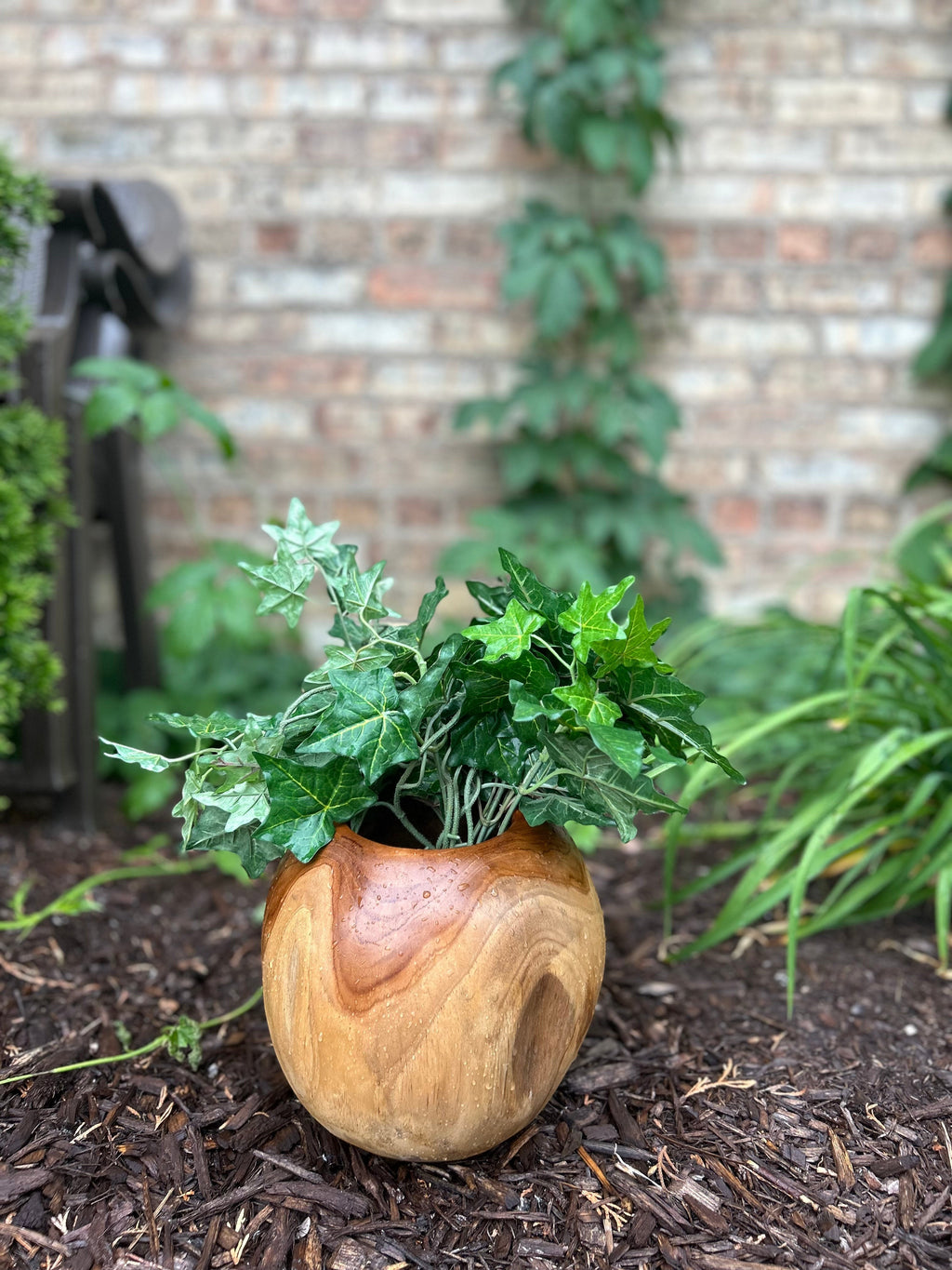 Natural Wonders USA Teak Pot, a round, golden-brown wooden planter with visible grain, holding green ivy.
