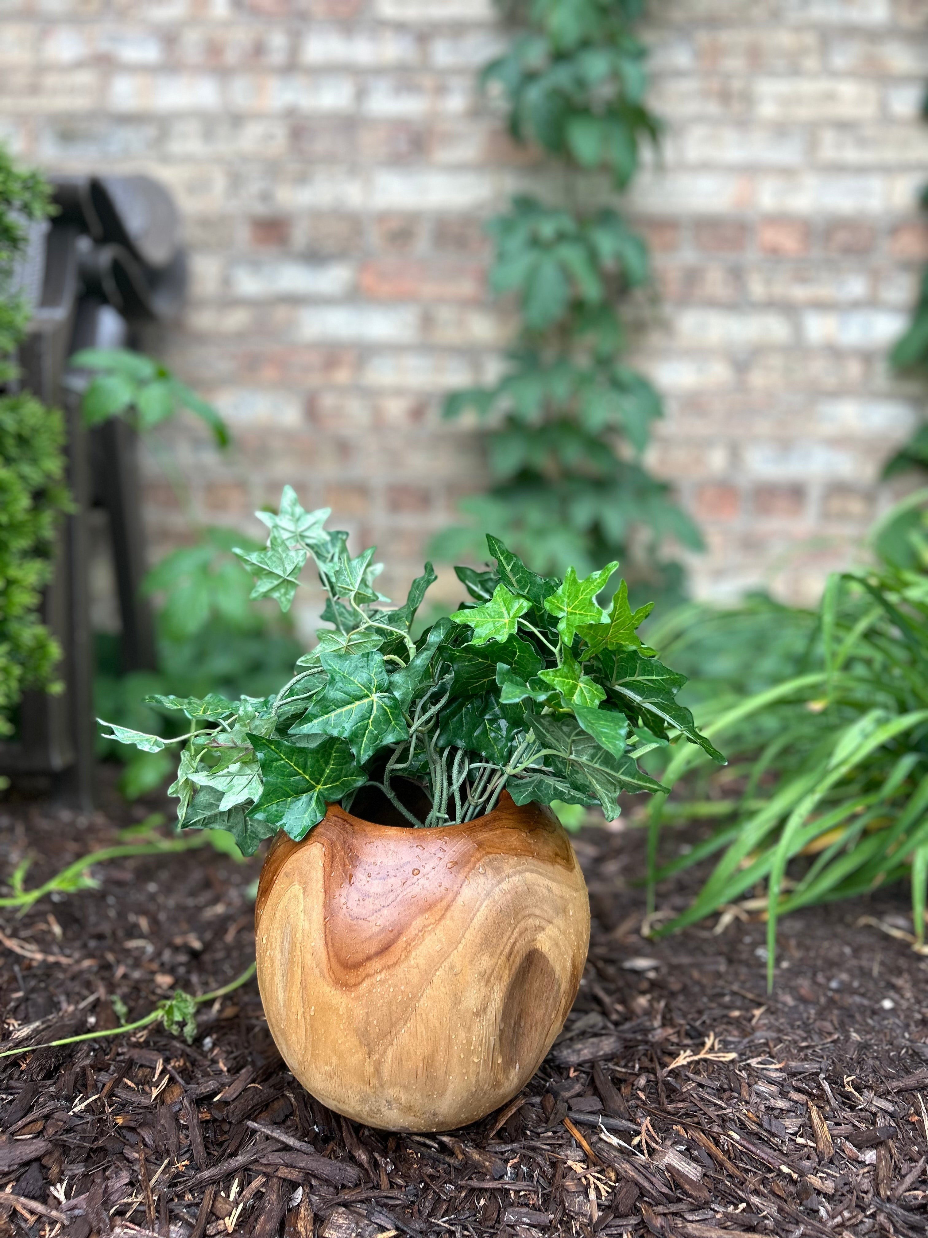 Natural Wonders USA Teak Pot, a round, golden-brown wooden planter with visible grain, holding green ivy.