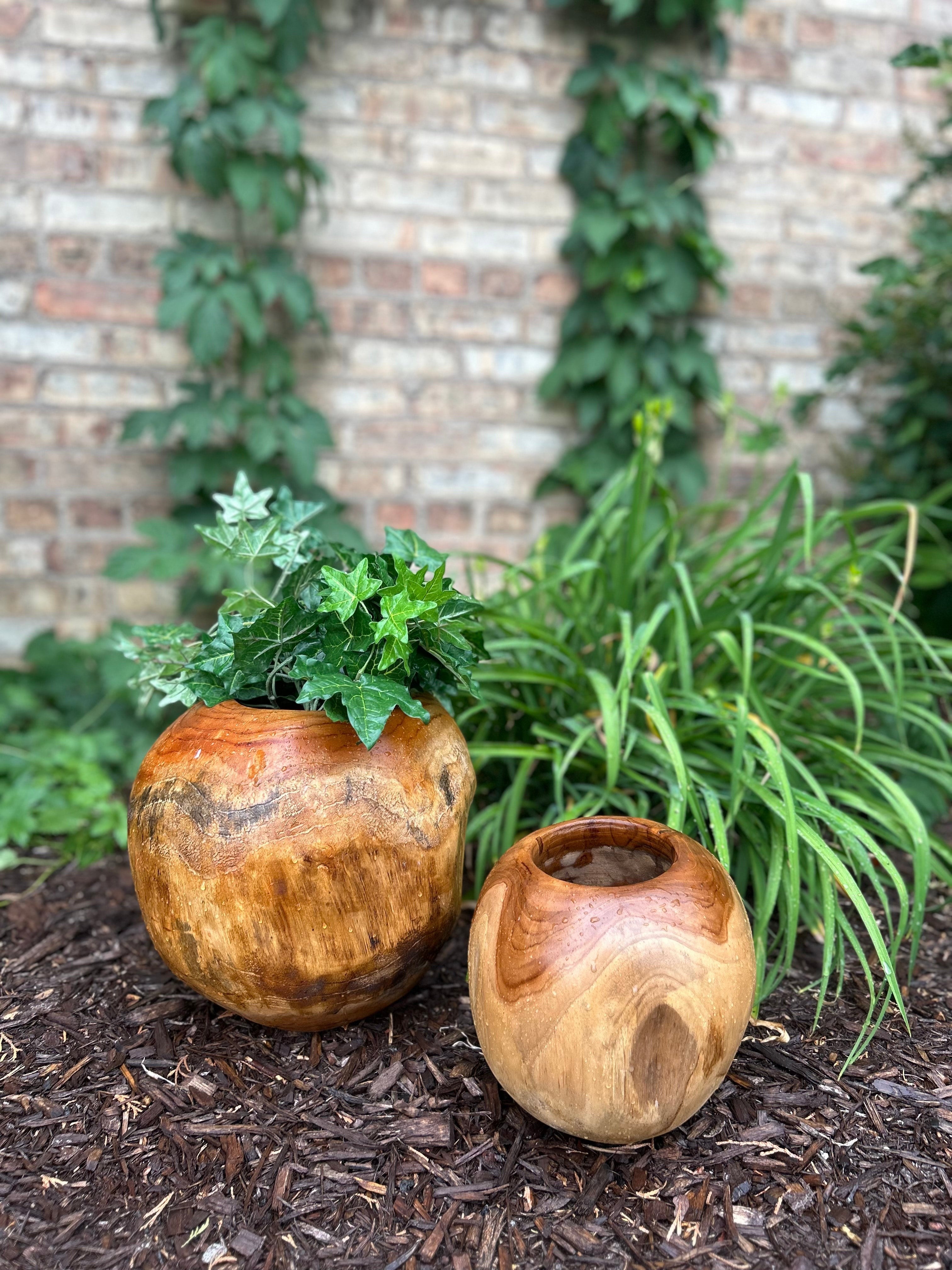 Natural Wonders USA Teak Pot Set, two round wooden planters in golden-brown hues with visible grain.