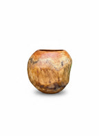 Natural Wonders USA teak wood pot with natural golden-brown grain and green ivy plant.