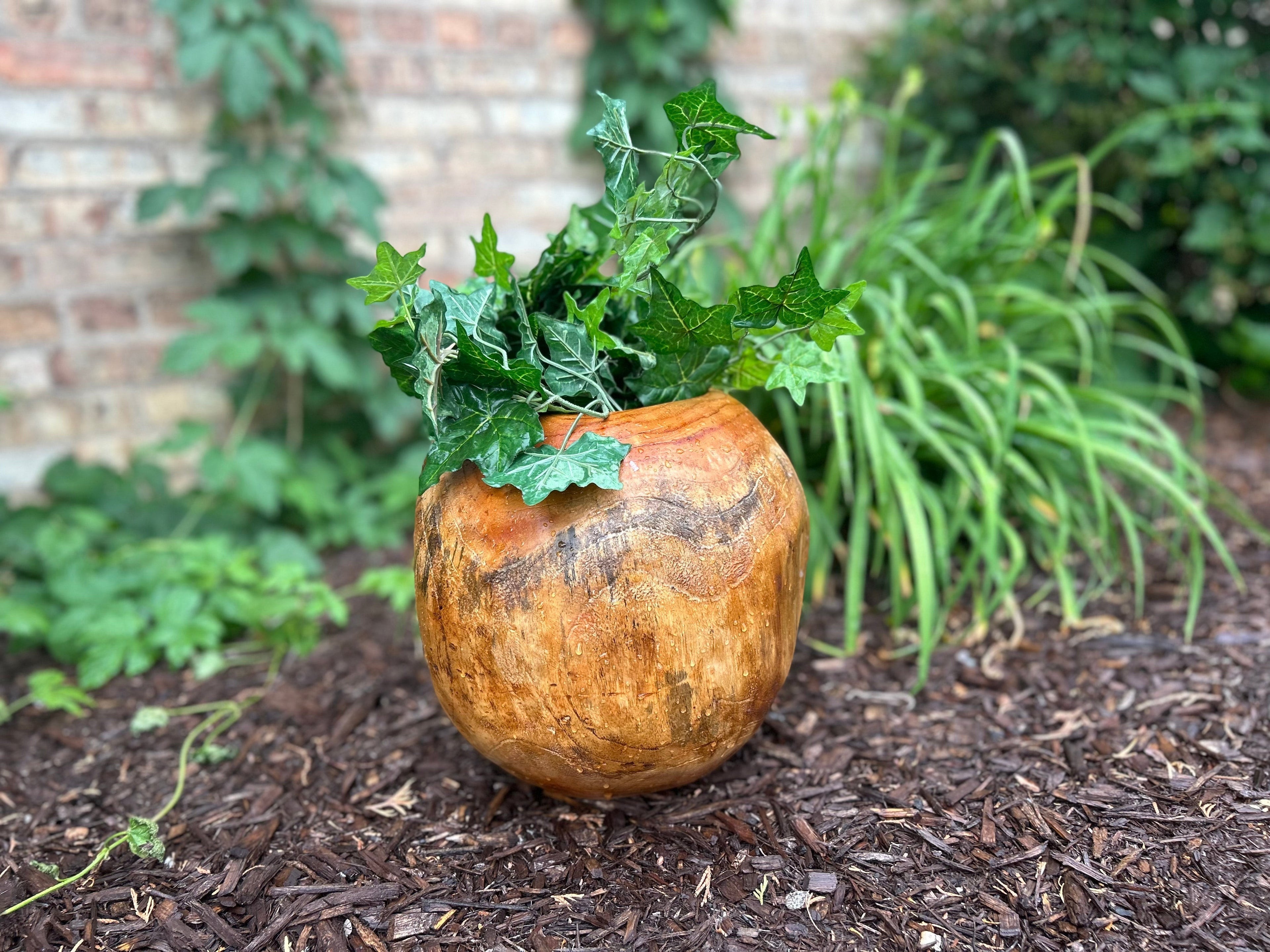 Natural Wonders USA Teak Pot, a round, golden-brown wooden planter with visible grain, holding green ivy.