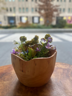 Food Safe Cedar Bowl/Vase