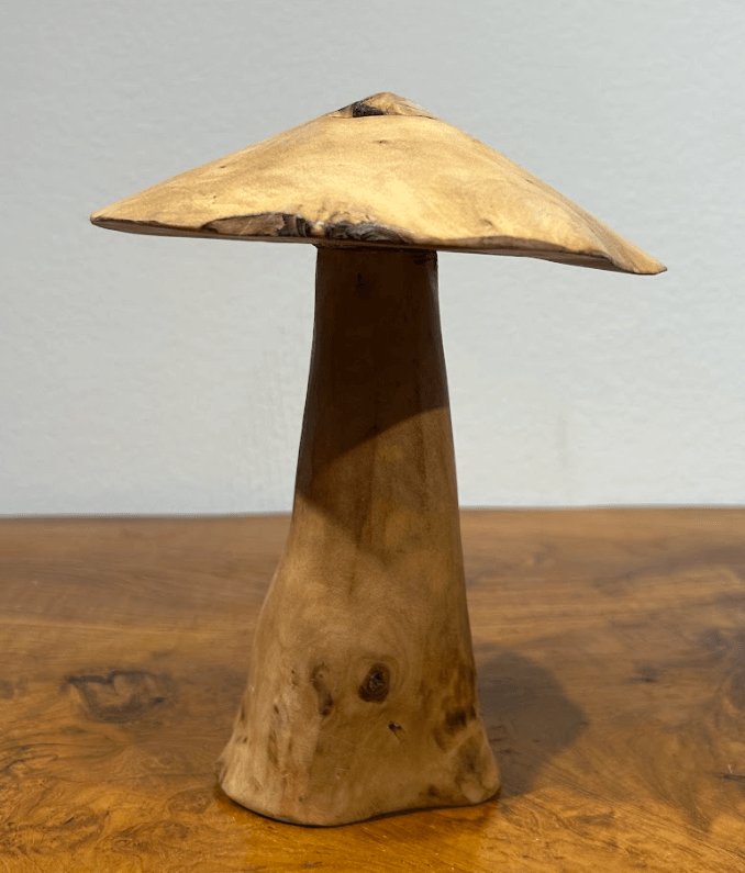 Drift Wood Mushrooms