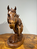 Double Headed Stallion