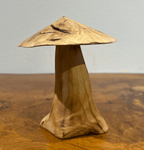 Drift Wood Mushrooms
