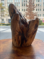 Teak root wine holder- 4 bottles