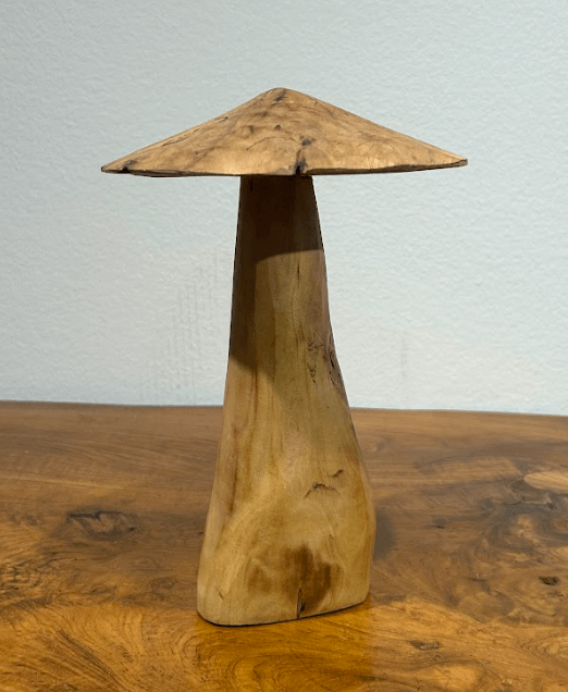 Drift Wood Mushrooms